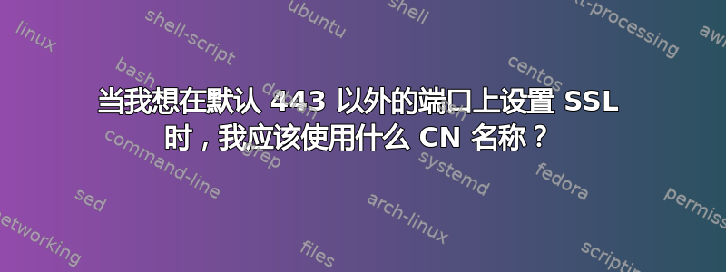 当我想在默认 443 以外的端口上设置 SSL 时，我应该使用什么 CN 名称？