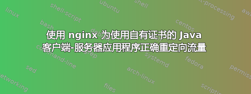 使用 nginx 为使用自有证书的 Java 客户端-服务器应用程序正确重定向流量