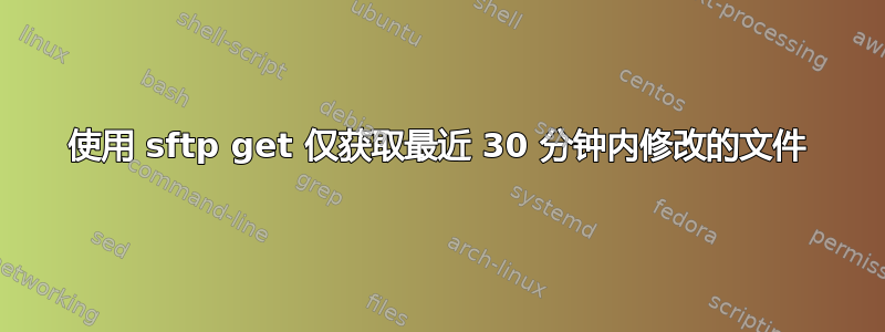 使用 sftp get 仅获取最近 30 分钟内修改的文件