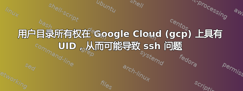 用户目录所有权在 Google Cloud (gcp) 上具有 UID，从而可能导致 ssh 问题