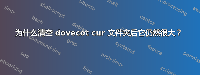 为什么清空 dovecot cur 文件夹后它仍然很大？