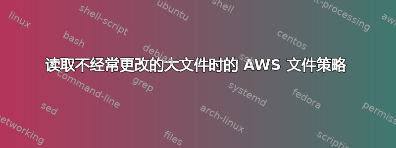 读取不经常更改的大文件时的 AWS 文件策略