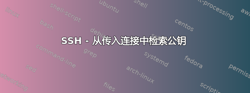 SSH - 从传入连接中检索公钥