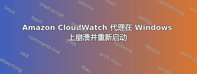 Amazon CloudWatch 代理在 Windows 上崩溃并重新启动