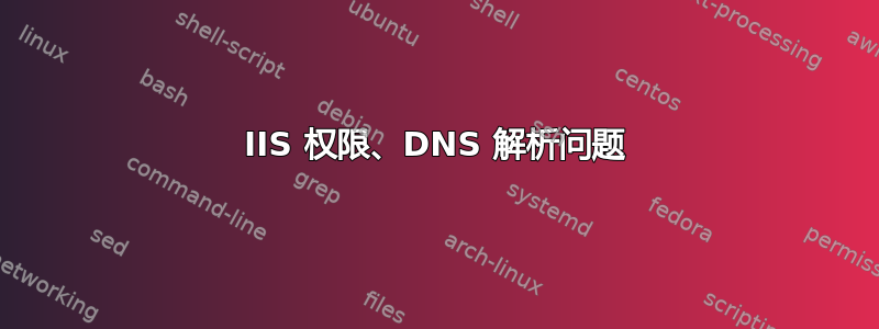 IIS 权限、DNS 解析问题