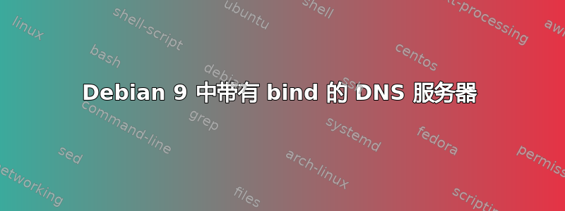 Debian 9 中带有 bind 的 DNS 服务器