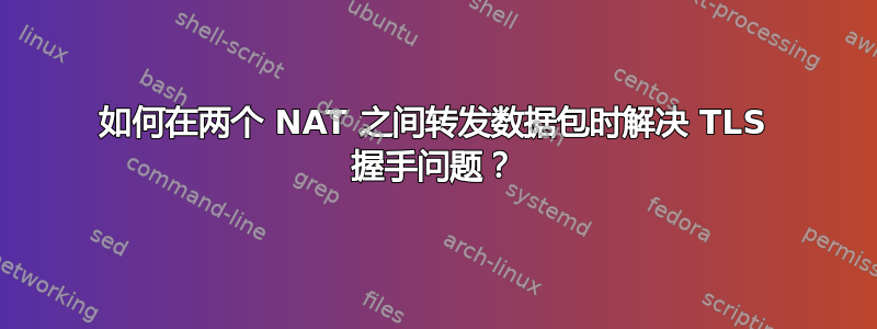 如何在两个 NAT 之间转发数据包时解决 TLS 握手问题？