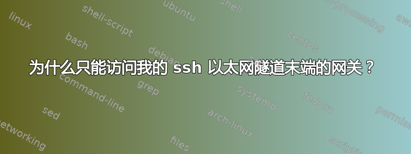 为什么只能访问我的 ssh 以太网隧道末端的网关？