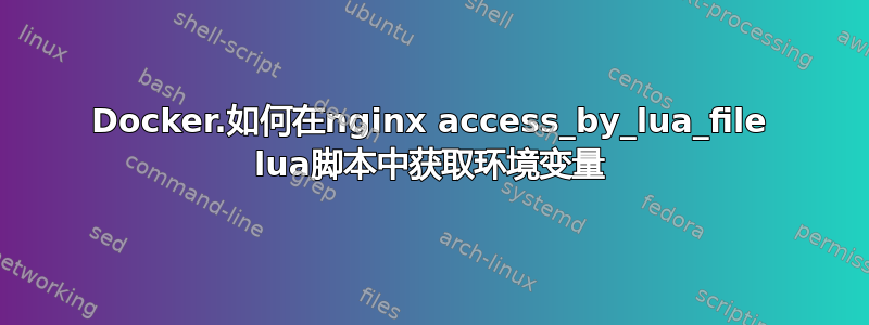 Docker.如何在nginx access_by_lua_file lua脚本中获取环境变量