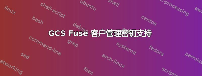 GCS Fuse 客户管理密钥支持