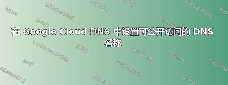 在 Google Cloud DNS 中设置可公开访问的 DNS 名称