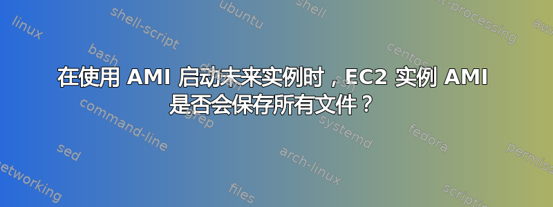 在使用 AMI 启动未来实例时，EC2 实例 AMI 是否会保存所有文件？