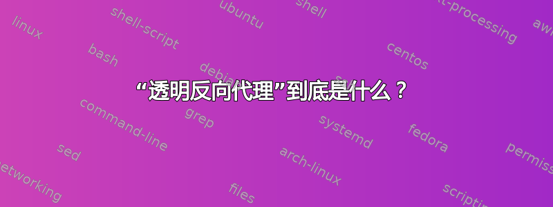 “透明反向代理”到底是什么？