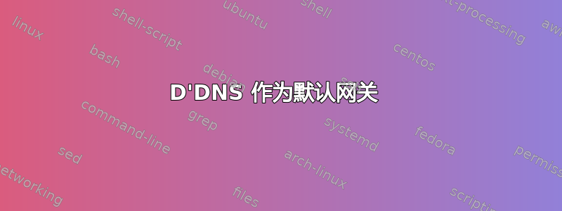 D'DNS 作为默认网关 