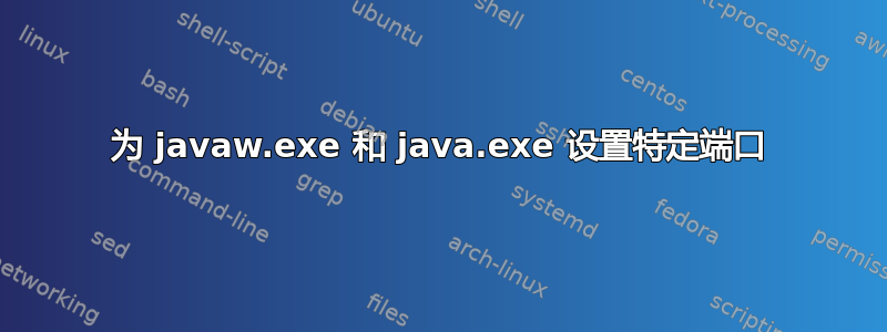 为 javaw.exe 和 java.exe 设置特定端口