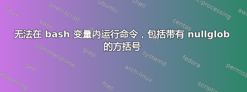 无法在 bash 变量内运行命令，包括带有 nullglob 的方括号