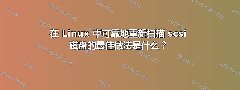 在 Linux 中可靠地重新扫描 scsi 磁盘的最佳做法是什么？