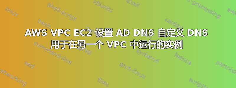 AWS VPC EC2 设置 AD DNS 自定义 DNS 用于在另一个 VPC 中运行的实例