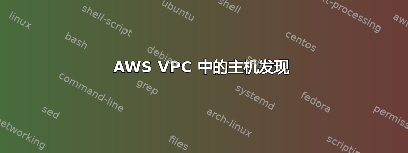 AWS VPC 中的主机发现