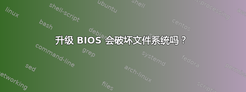 升级 BIOS 会破坏文件系统吗？