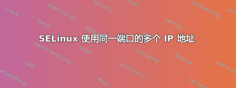 SELinux 使用同一端口的多个 IP 地址