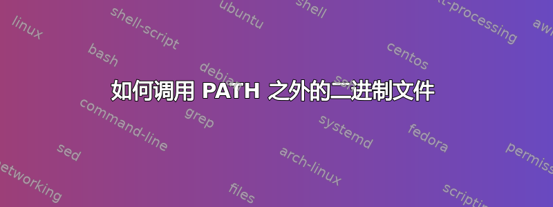 如何调用 PATH 之外的二进制文件