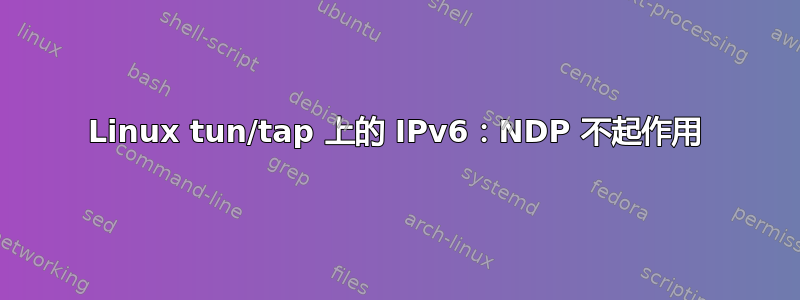 Linux tun/tap 上的 IPv6：NDP 不起作用