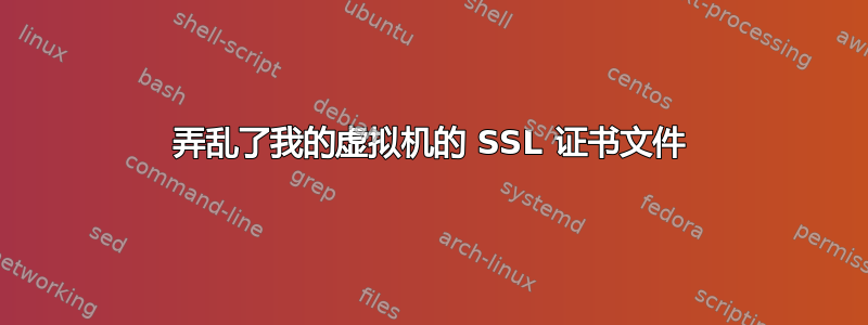 弄乱了我的虚拟机的 SSL 证书文件