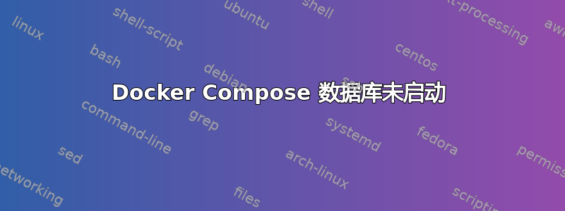 Docker Compose 数据库未启动