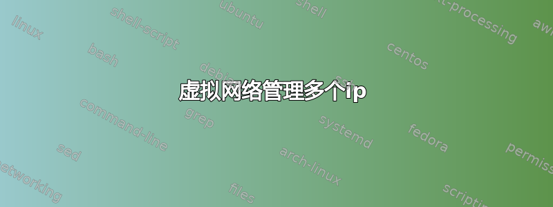 虚拟网络管理多个ip