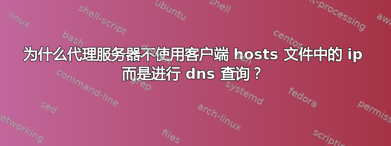 为什么代理服务器不使用客户端 hosts 文件中的 ip 而是进行 dns 查询？