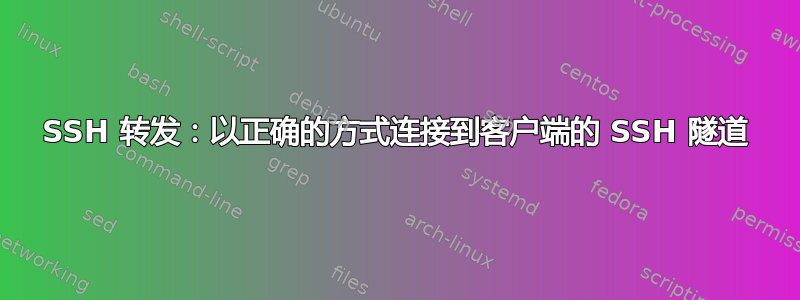 SSH 转发：以正确的方式连接到客户端的 SSH 隧道