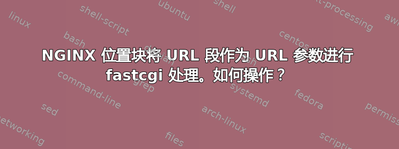 NGINX 位置块将 URL 段作为 URL 参数进行 fastcgi 处理。如何操作？