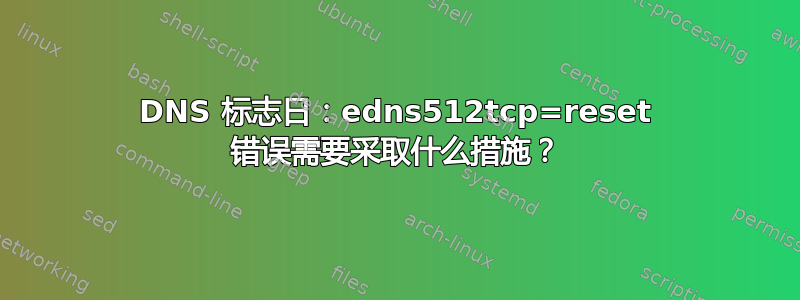 DNS 标志日：edns512tcp=reset 错误需要采取什么措施？