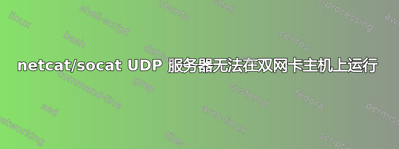 netcat/socat UDP 服务器无法在双网卡主机上运行