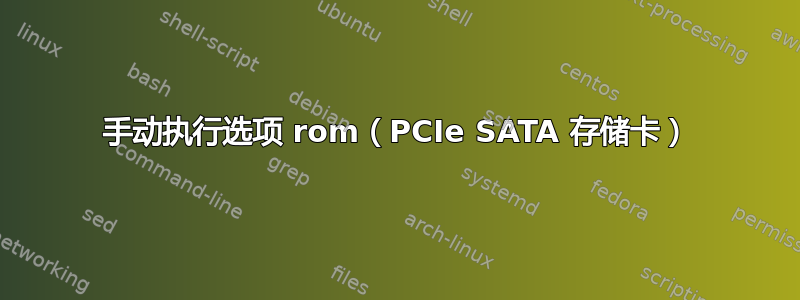 手动执行选项 rom（PCIe SATA 存储卡）