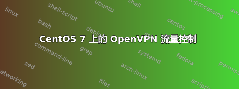 CentOS 7 上的 OpenVPN 流量控制