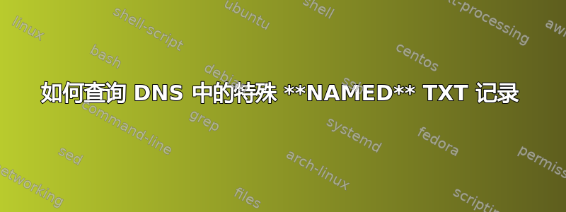 如何查询 DNS 中的特殊 **NAMED** TXT 记录