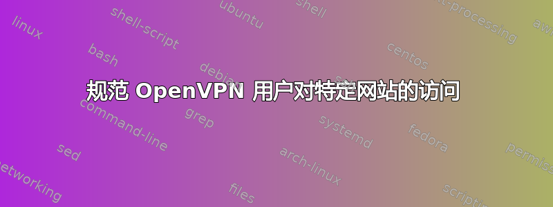 规范 OpenVPN 用户对特定网站的访问