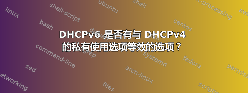 DHCPv6 是否有与 DHCPv4 的私有使用选项等效的选项？