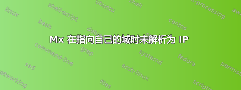 Mx 在指向自己的域时未解析为 IP