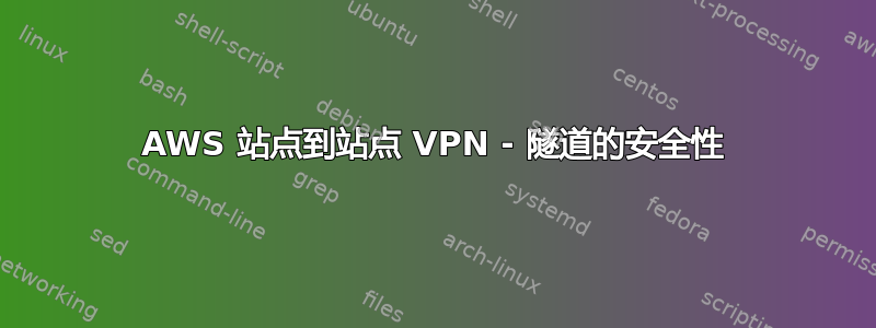 AWS 站点到站点 VPN - 隧道的安全性