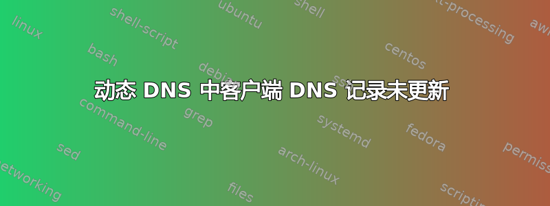 动态 DNS 中客户端 DNS 记录未更新