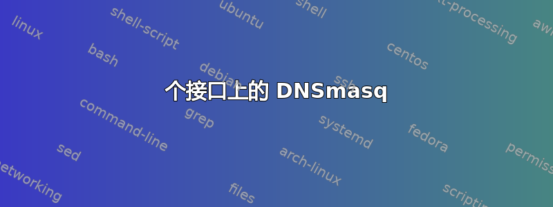 2 个接口上的 DNSmasq