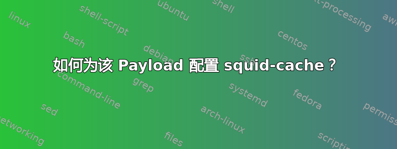 如何为该 Payload 配置 squid-cache？