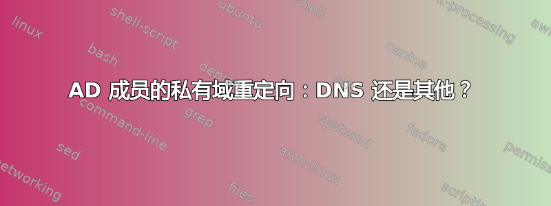 AD 成员的私有域重定向：DNS 还是其他？