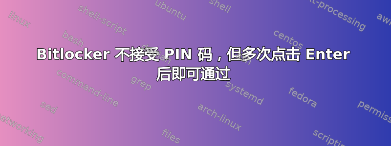 Bitlocker 不接受 PIN 码，但多次点击 Enter 后即可通过