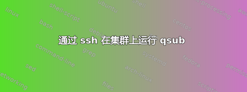 通过 ssh 在集群上运行 qsub