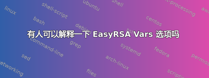 有人可以解释一下 EasyRSA Vars 选项吗