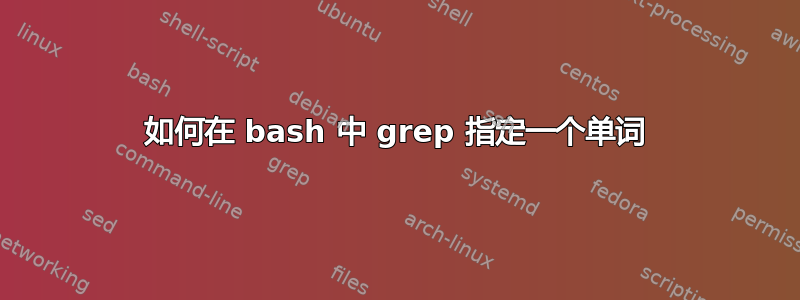 如何在 bash 中 grep 指定一个单词